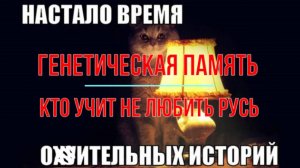 Кто учит не любить Русь