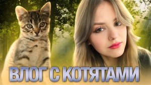 Влог котят!