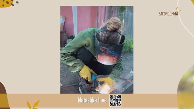 «Щит» для вашего участка: все о заборах. Мой Загородный