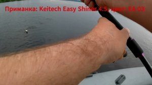 Нева, середина июня.