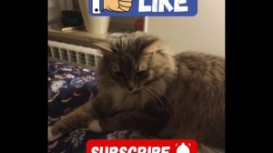 наш ролик просто супер!