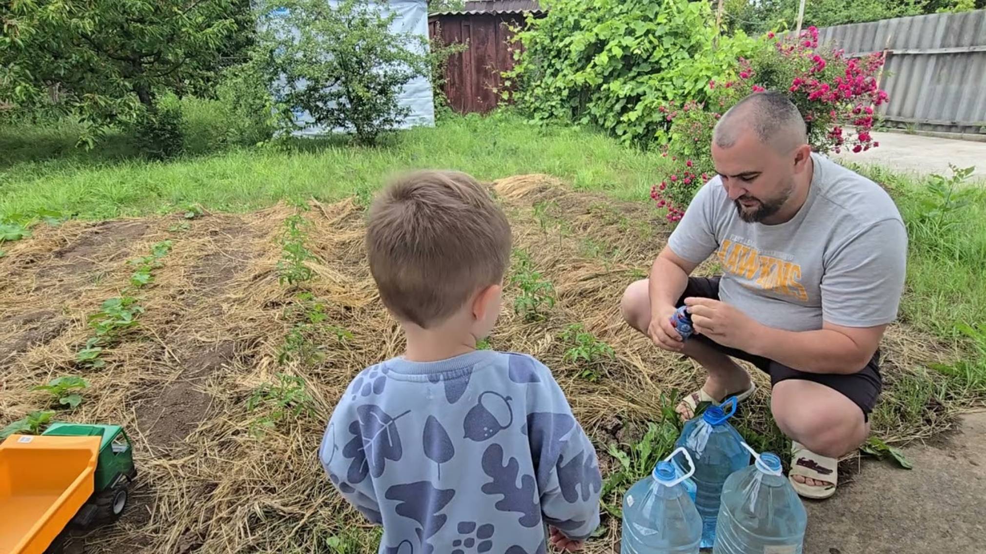 Андрей Новиков. Когда будут овощи Нужная подкормка , что внёс