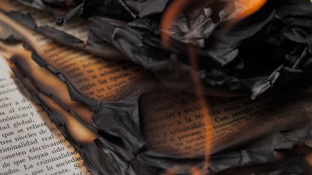 Книга Стелла Фракта «Сбор урожая» | Вампир, ведьма, дьявол и странник в замке | Буктрейлер