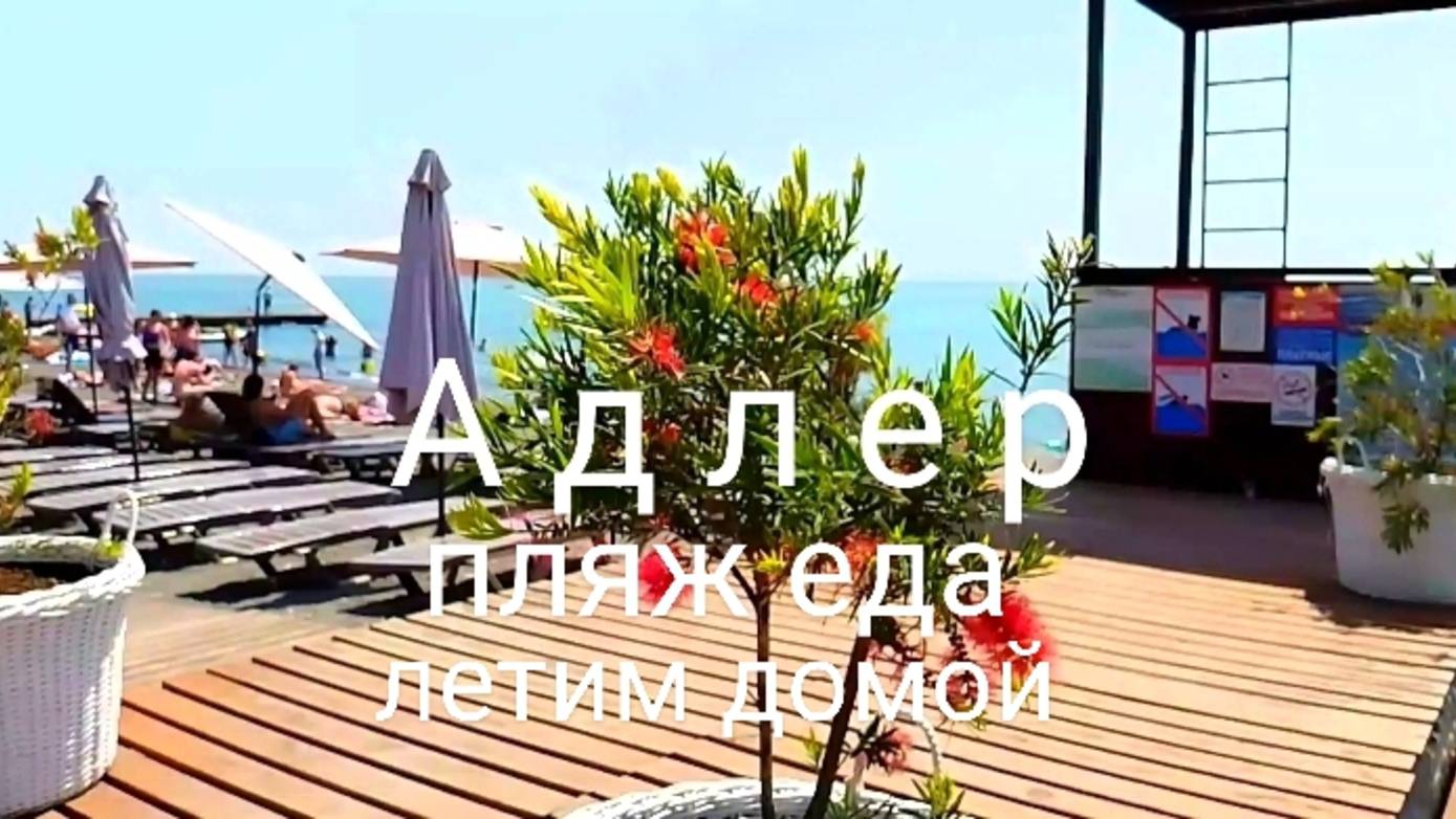 Адлер пляж. Пробую хачапури. Летим Аэрофлотом