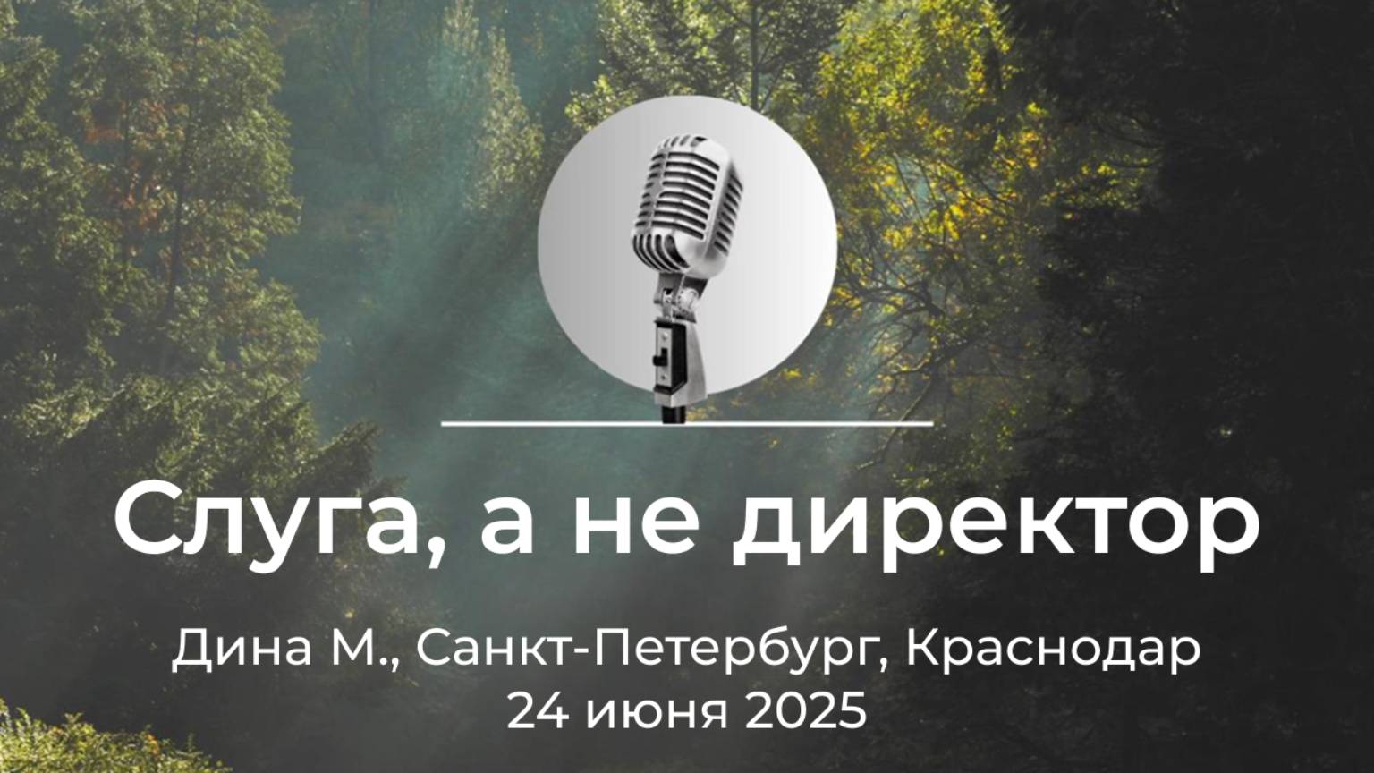 Спикерская АНЗ "Слуга, а не директор" Дина М., Санкт-Петербург, Краснодар, 24 июня 2025 года