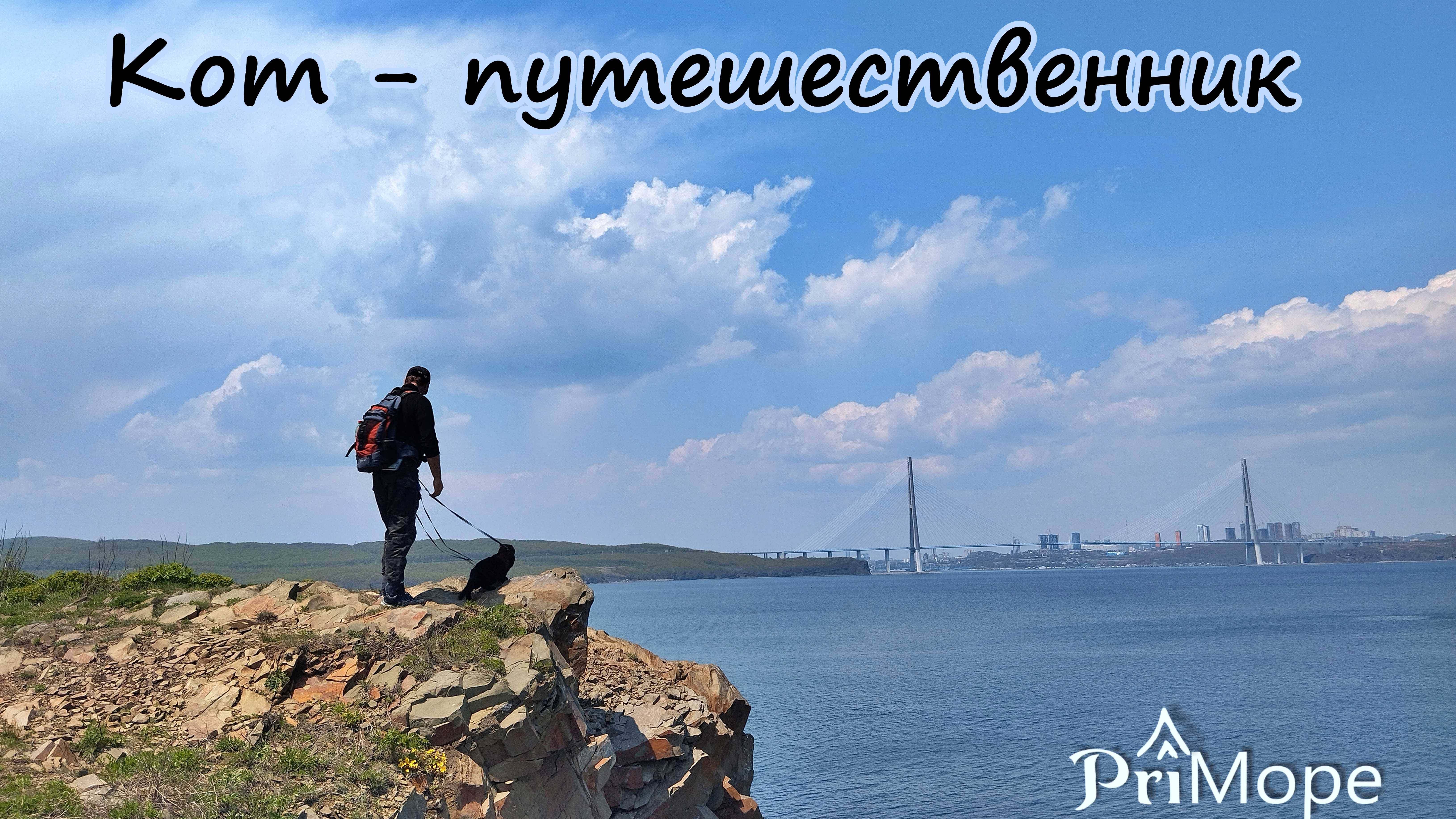Кот путешественник #кот #cat #природа  #приморскийкрай #владивосток #travel #nature #владивосток