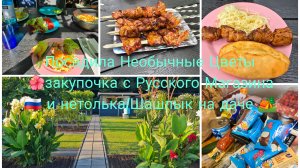 vlog 🇩🇪 Жизнь в Германии/Дача 🏕/Посадка Необычный Цветов 🌺Жарим Шашлыки/Закупка 🛒🛍