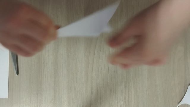 video5391176660861090126