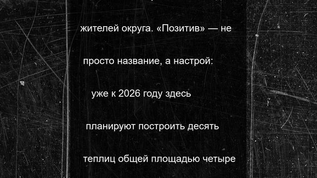На месте пустыря — свежая зелень и рабочие места: в Стрелецкой первый урожай