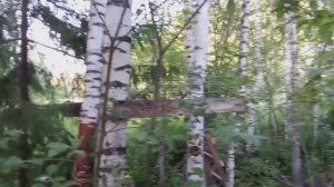 Строим дом на дереве часть 1?!
