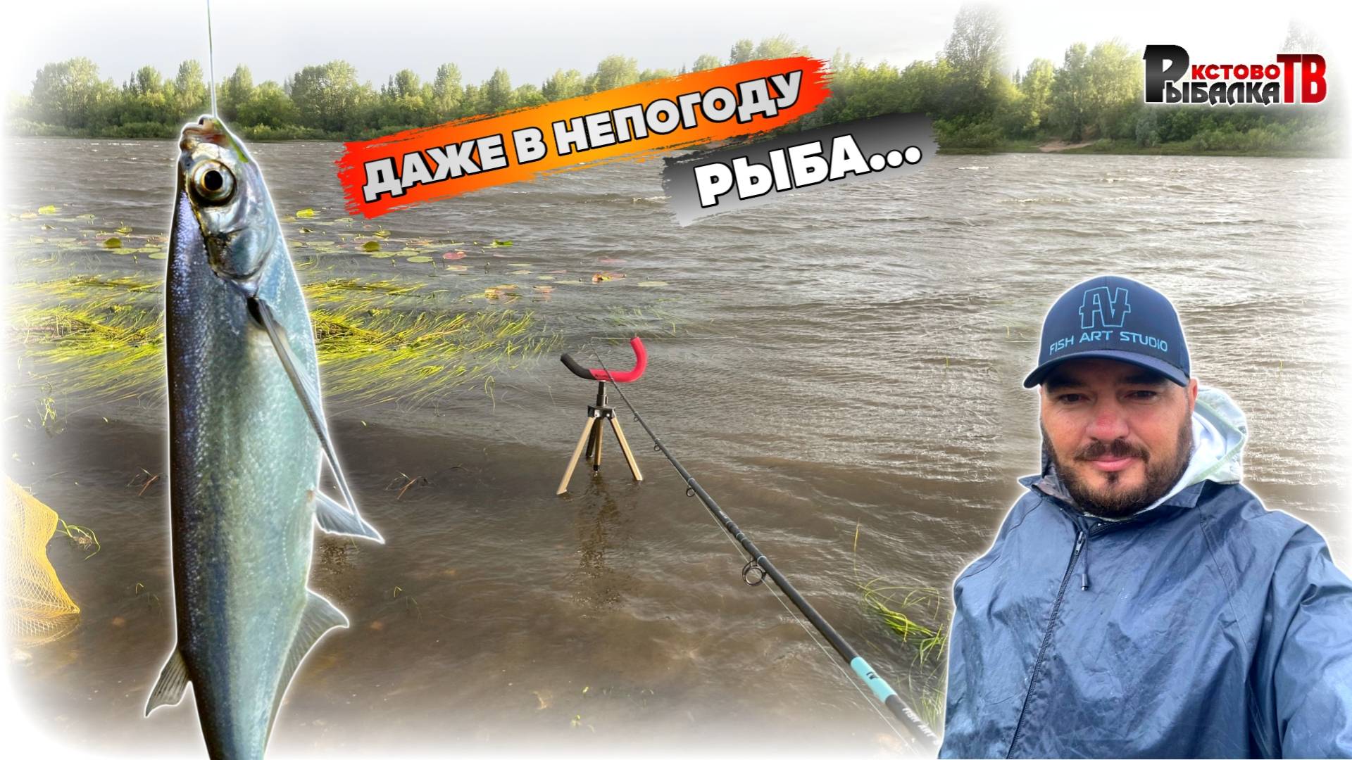 Даже в не погоду Рыба хорошо ловится.Ловля чехони и другой рыбы на гребном канале.
