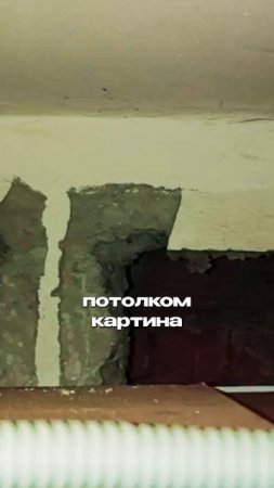 Как грызуны попадают к вам