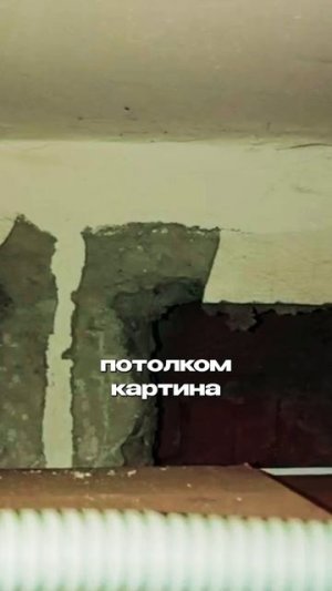 Как грызуны попадают к вам
