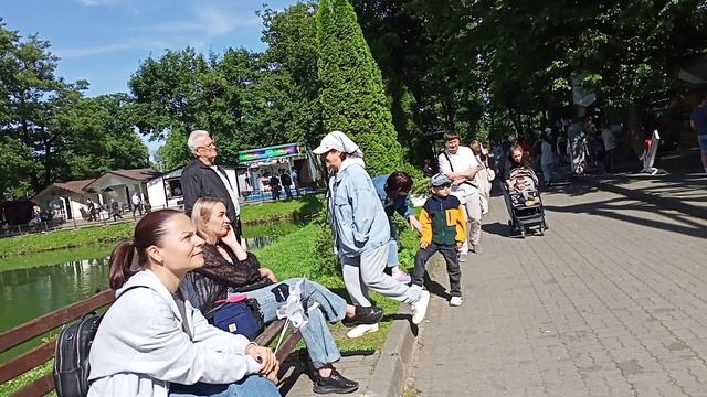 VID20250622161632.mp4