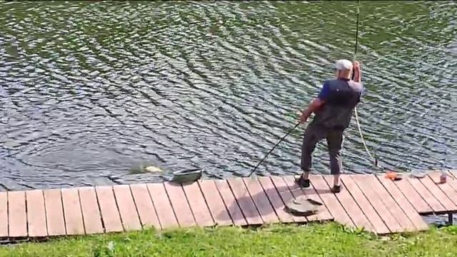 Карпуша из свежего запуска