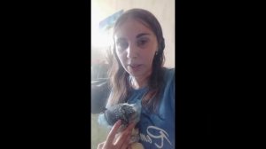 разные вещи для лечения ушнова клеща,и  сумка переноска🌿🪴
#разные #вещи #для #лечения #ушнова #кле
