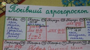 Агрогороскоп на июль 2025: что посадить первым?