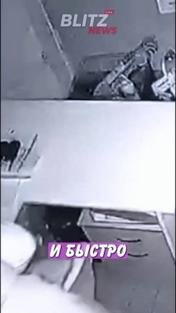 31. Переоделся в женщину, чтобы ограбить свой же магазин!   Главные Новости