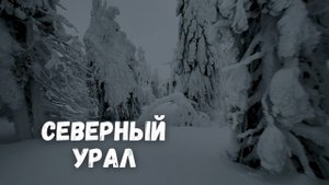 Таинственный зимний лес Урала. Гора Ослянка, Пермский край