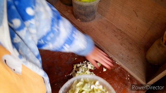 ‼️Куры несутся круглый год//Нужная подкормка для кур//Chickens in Russia