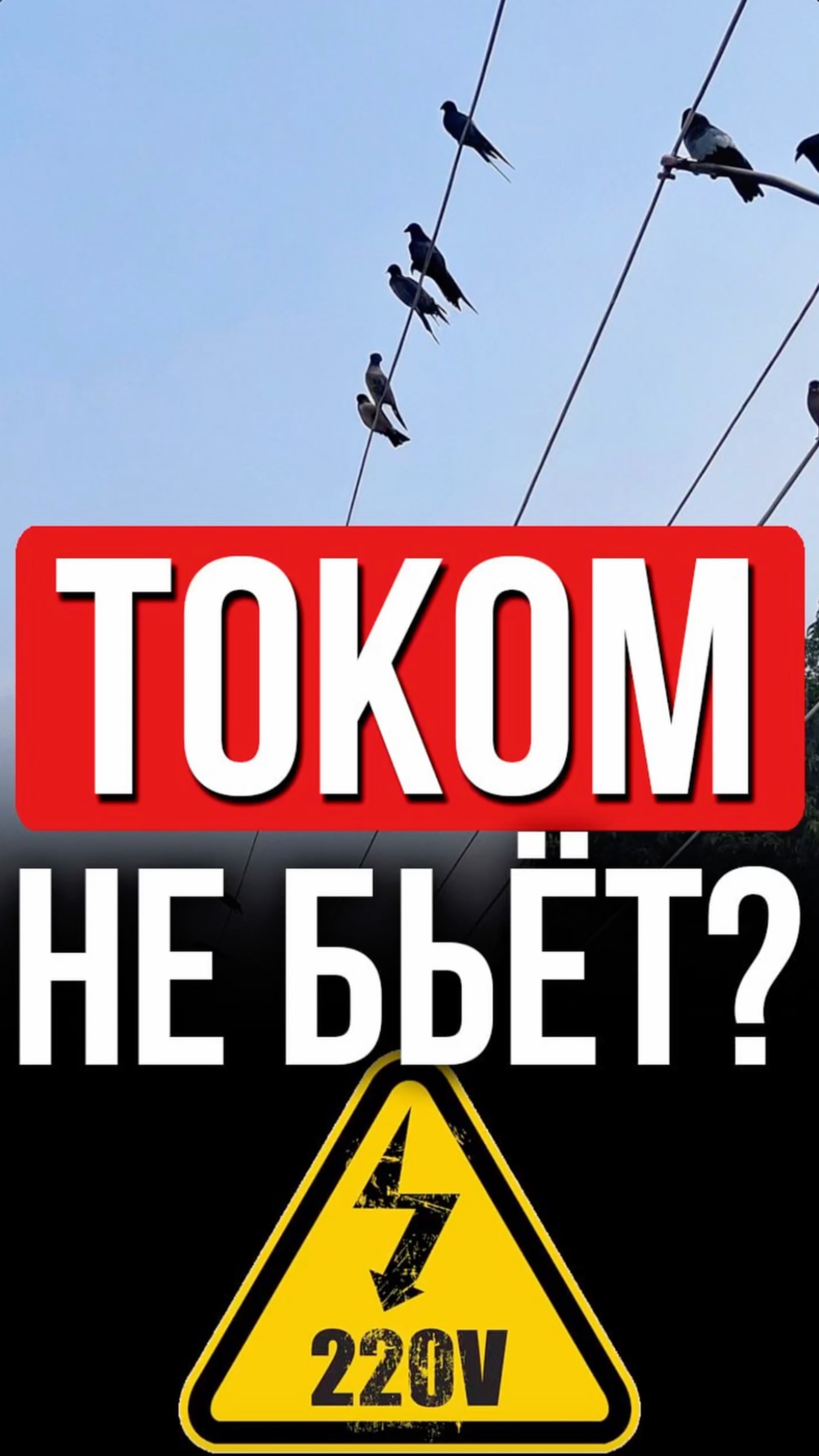 ⚡ Почему электрики не боятся высокого напряжения: Секрет здесь!