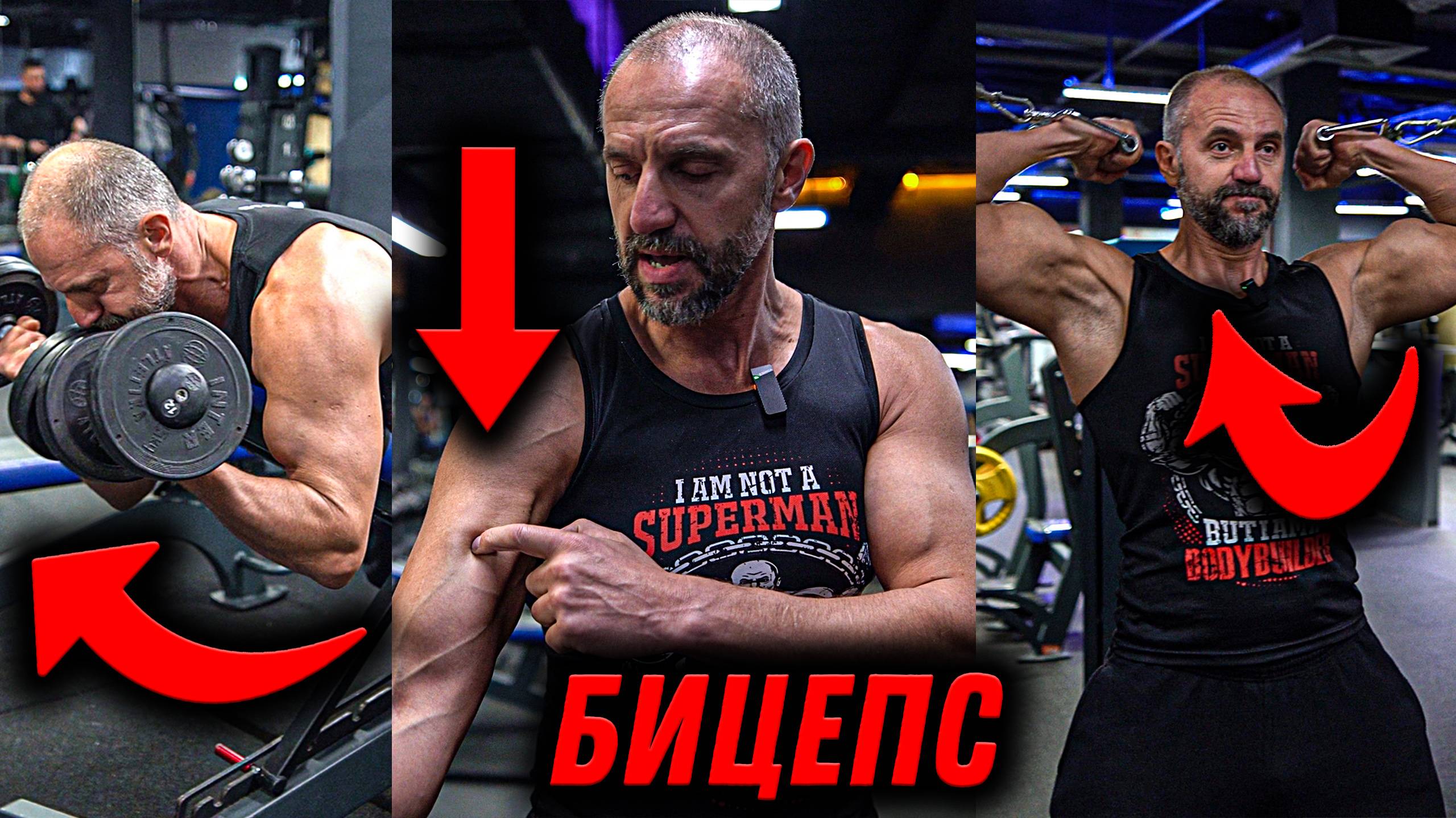 Бицепсы! ТОП упражнений. Научный подход