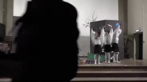 серая шейка 2018- 2019