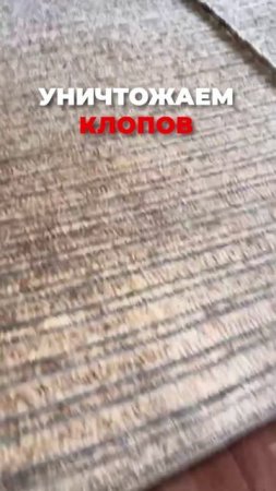 Уничтожение клопов