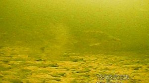 SUNP0168