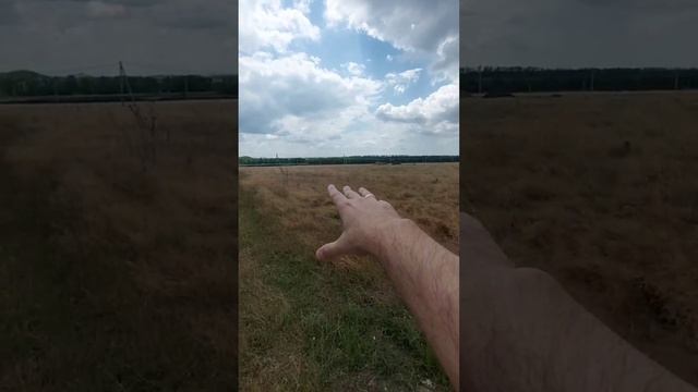 Большие Салы