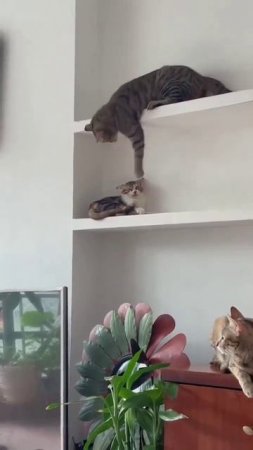 Не рой яму другому, сам в неё в итоге попадёшь
