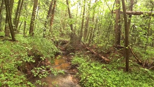 Разведка с мормышингом и трофейный голавль в Подмосковье