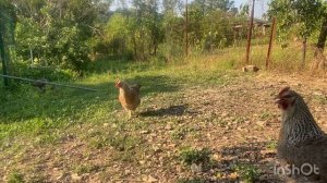 Билефельдер. Вас обманывают.