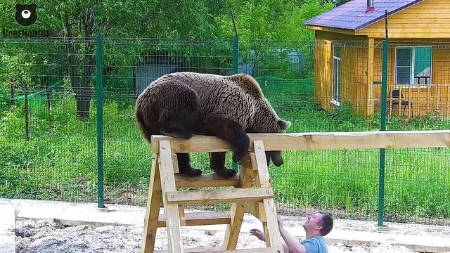 Я не трус,но я боюсь