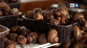 Мир сельского хозяйства. №77 Улитки 24.06.2025