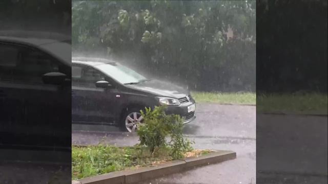 🌧️Сегодня и завтра в Москве ожидаются дождь и сильный ветер до 15 м/с🌧️