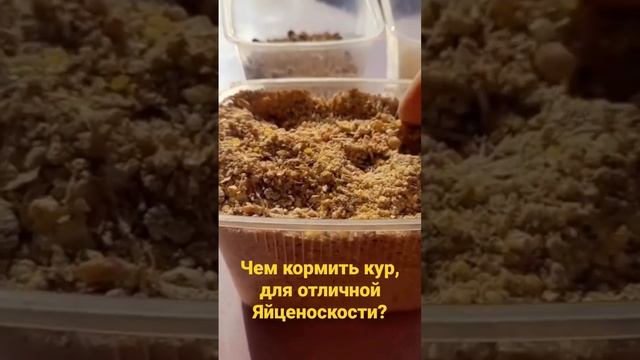 Лучший Корм для Кур!