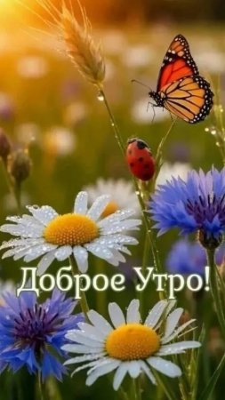 Доброе утро !