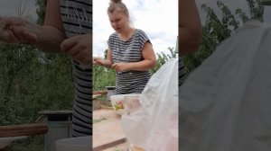 Шашлык готов!