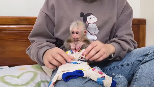 Обезьянка крошка БУКАШКА просит маму купаться Сушат феном Пьет молоко трубочкой лапушка