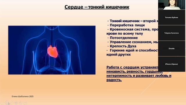 8 Бессмертных. У Син. Почки. Здоровье мочеполовой системы. Снятие стресса. Омоложение. Развитие воли