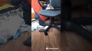 милый котик 40 серия