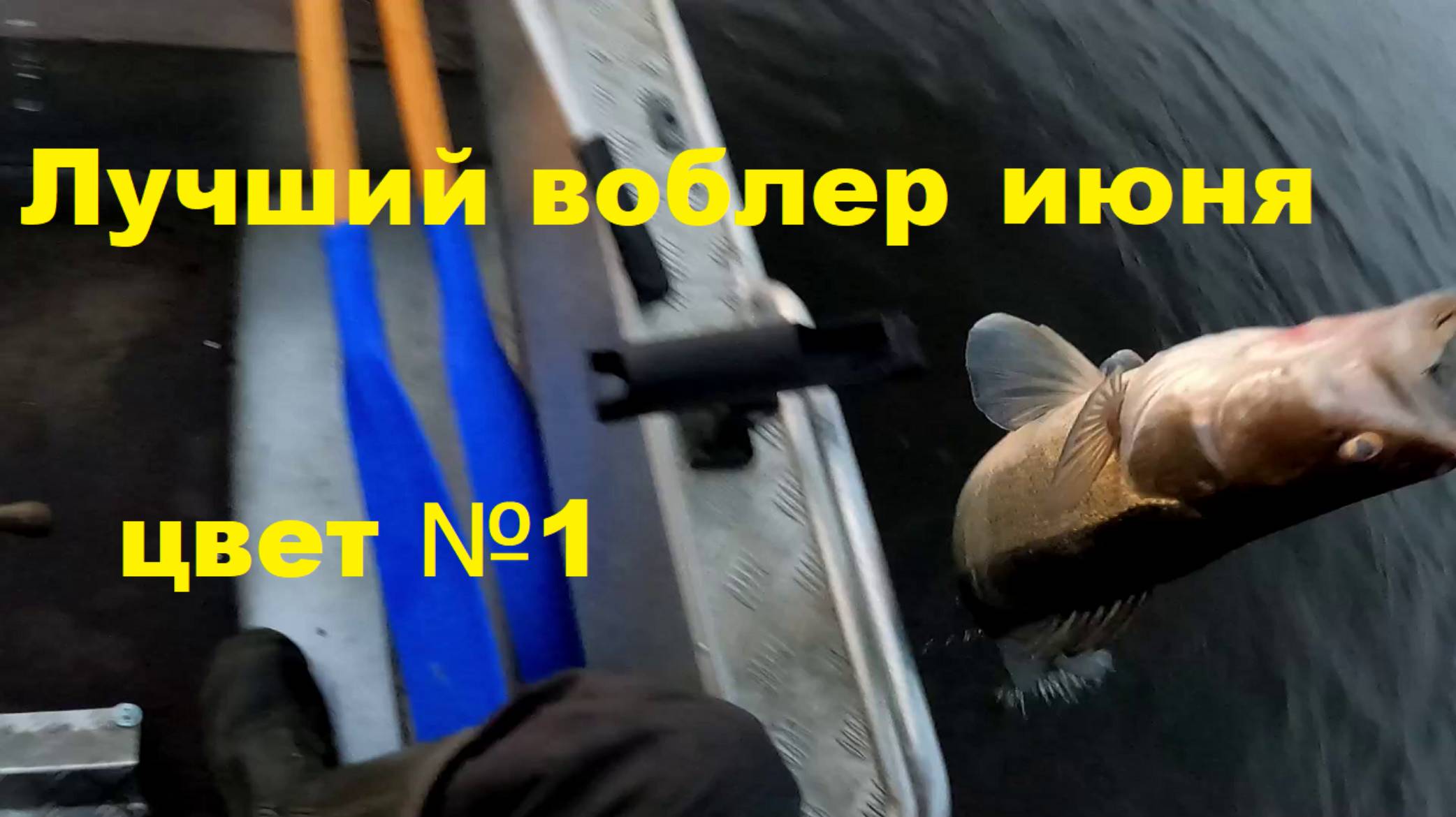 Троллинг на Ладоге. Лучший воблер июня