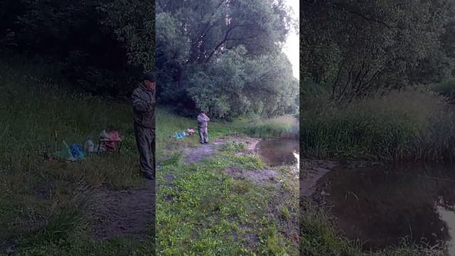 1000020733.mp4