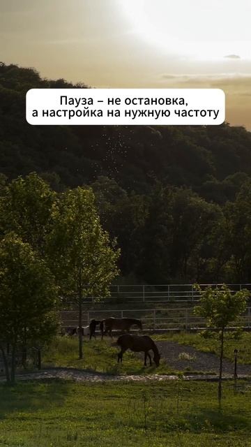Пауза – это не конец пути 👇 #shorts #мотивация #заработок #деньги #успех #бизнес #обучение