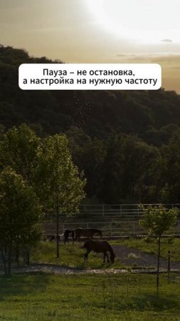 Пауза – это не конец пути 👇 #shorts #мотивация #заработок #деньги #успех #бизнес #обучение