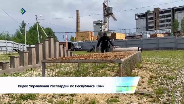 Росгвардейцы кинологи и их четвероногие питомцы отметили профессиональный праздник