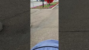 VID_20250617_151916.mp4