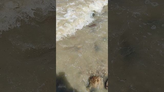 Я на Азовском море с другом 2 часть