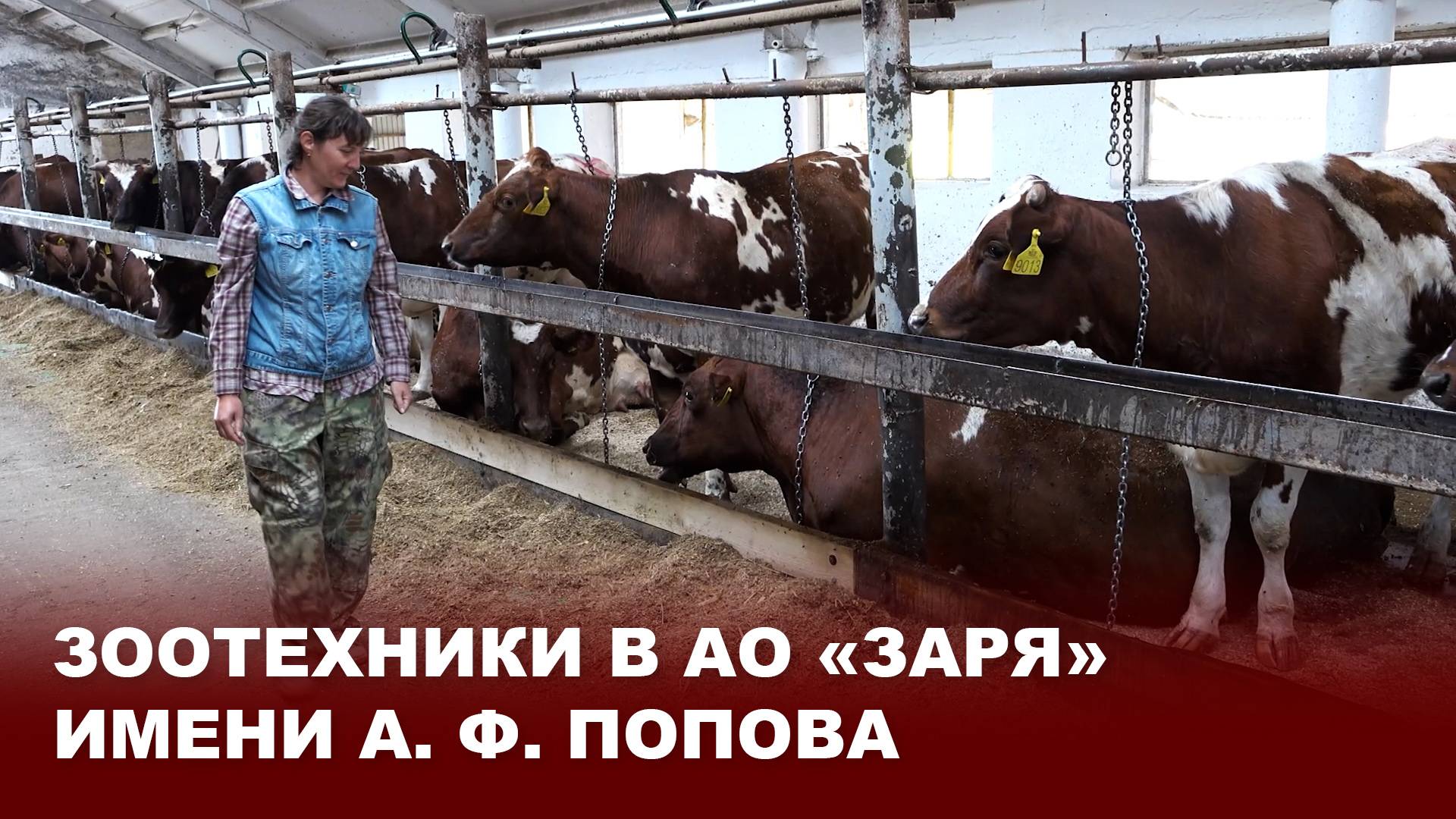 Зоотехники в АО «Заря» имени А. Ф. Попова